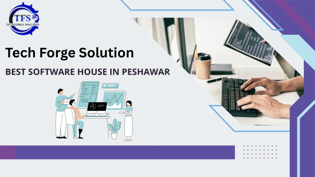 top Software House in Peshawar by Tech Forge Solution